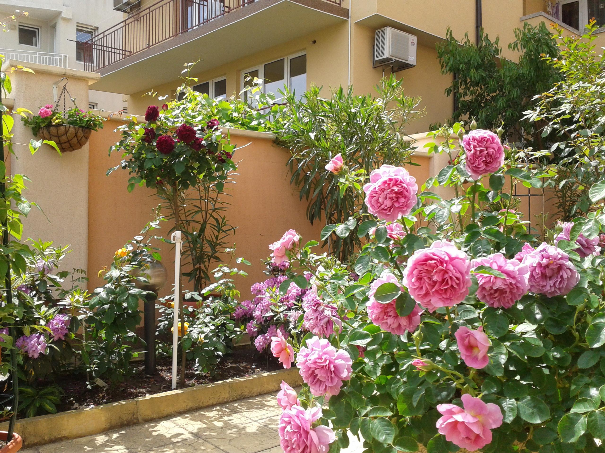 Hotel Chuchulev Sozopol Bagian luar foto