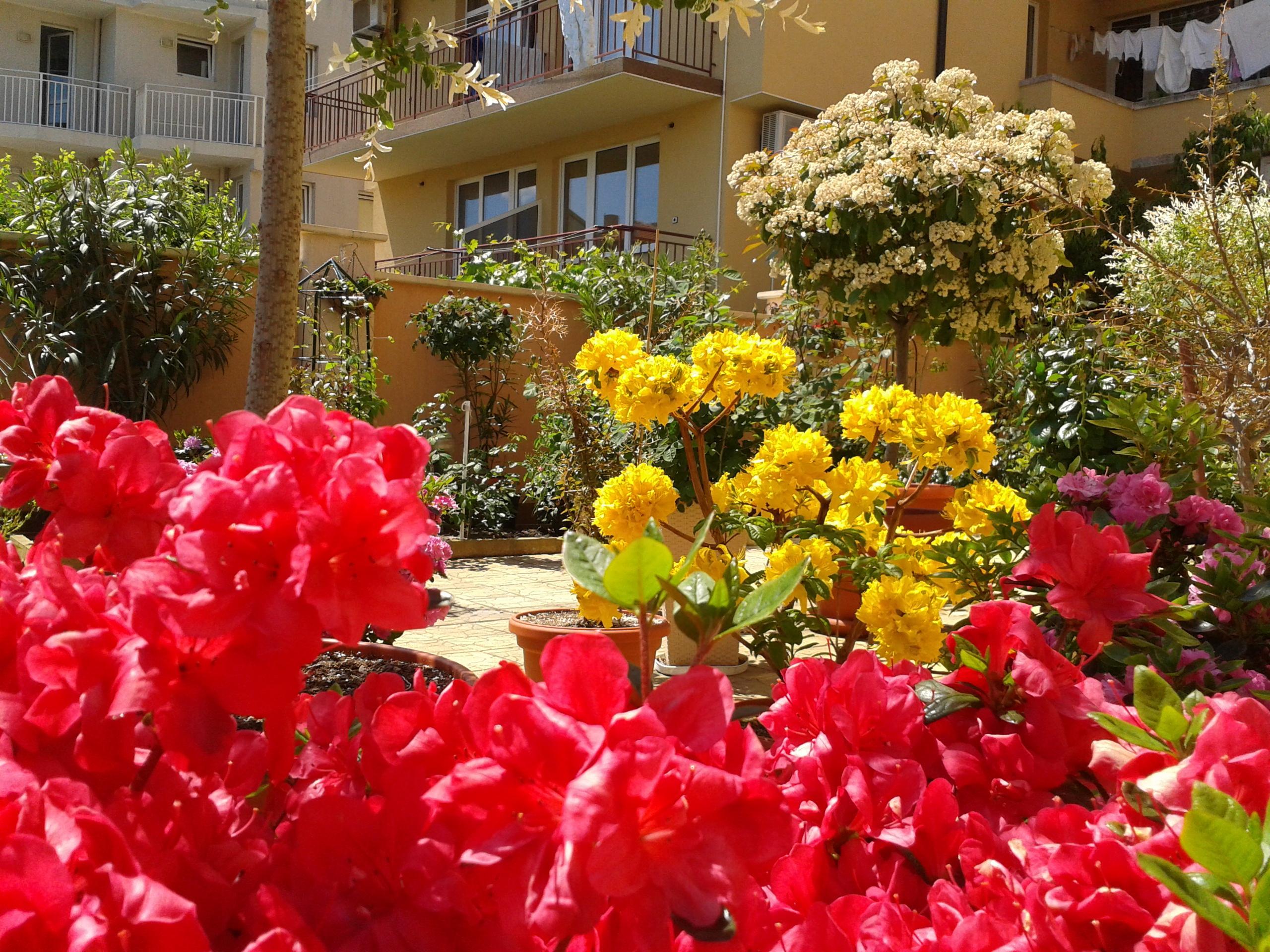 Hotel Chuchulev Sozopol Bagian luar foto
