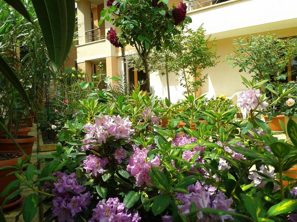 Hotel Chuchulev Sozopol Bagian luar foto
