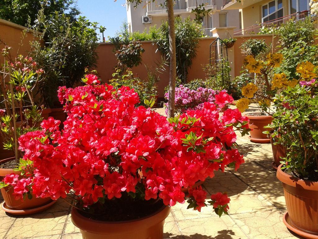 Hotel Chuchulev Sozopol Bagian luar foto