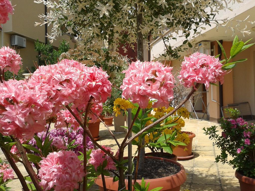 Hotel Chuchulev Sozopol Bagian luar foto